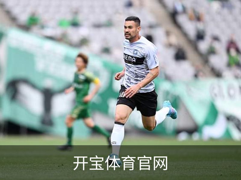 开宝体育官网简介